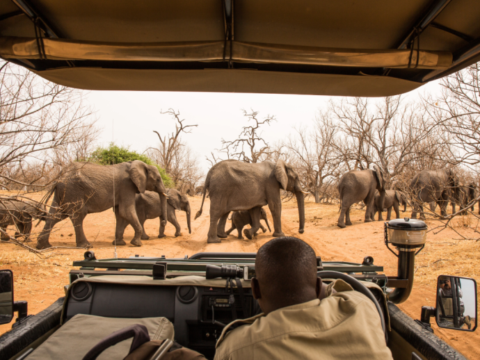 A historic Overview of Botswana's Tourism Development