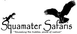 Squamater Safaris - Eco-friendly Cultural and Adventure Tours in Khwai, Botswana
