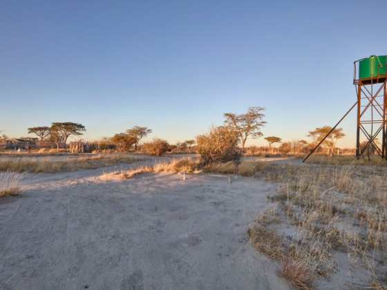 Makgadikgadi Adventure Camp