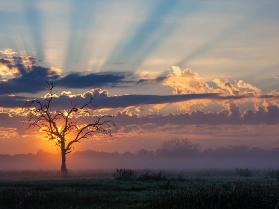 Exploring the Charming City of Francistown, Botswana