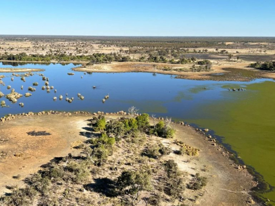 Mzilikazi Way Safaris