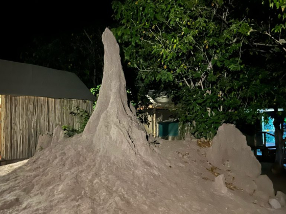 A mysterious night scene featuring a unique mound and cozy cabin surrounded by lush greenery.