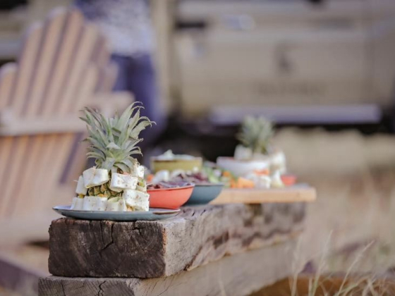 Okapuka Safari Lodge - Luxury Safari Lodging in Namibia