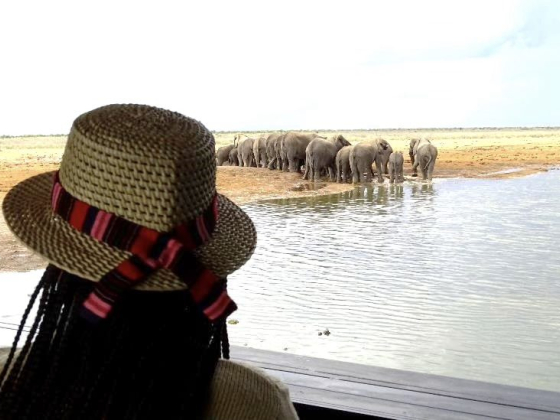 A peaceful scene of elephants near the waterhole