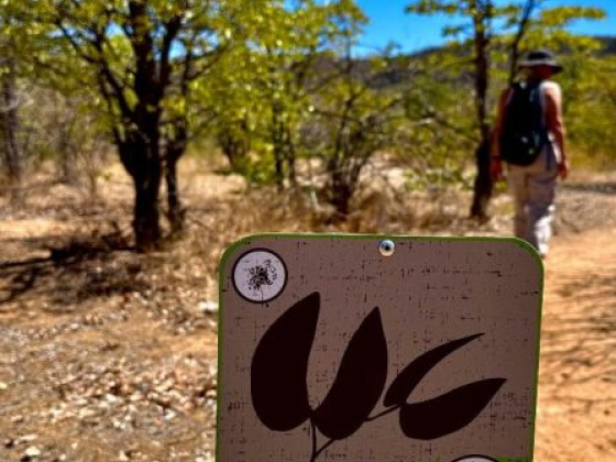 Signpost indicating the Valley Walking Trail ahead.