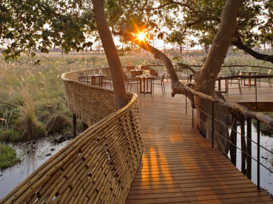 Sandibe Okavango Safari Lodge
