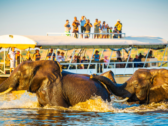 Top 10 Tour Operators in Botswana