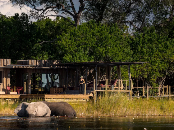 Wilderness DumaTau Camp