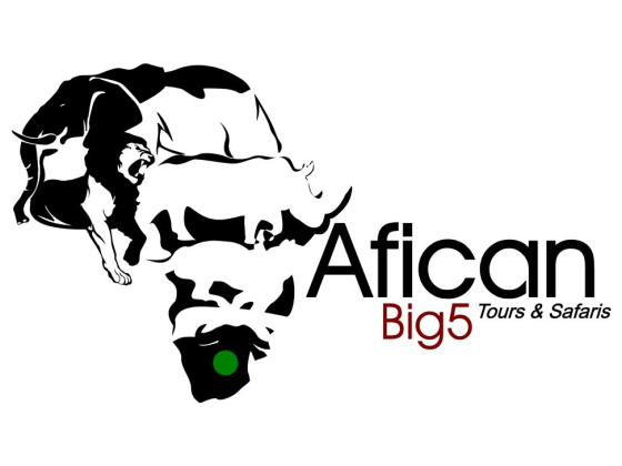 AFRICAN BIG FIVE TOURS AND SAFARIS