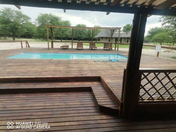 Tranquil poolside retreat surrounded by lush greenery and peaceful vibes.