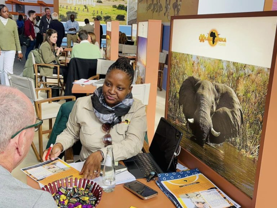 Explore Africa Travels