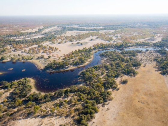 5 Top Must-Visit Places in Botswana