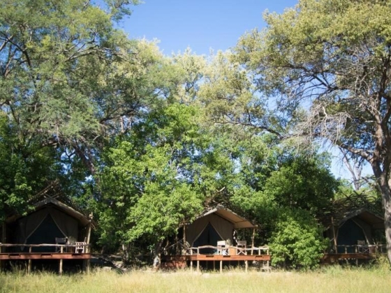 Squamater Safaris - Eco-friendly Cultural and Adventure Tours in Khwai, Botswana