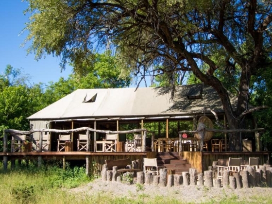 Exploring the Wonders of Squamater Safaris: A Journey of Discovery and Inspiration