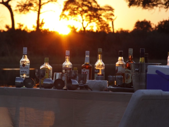 Squamater Safaris - Eco-friendly Cultural and Adventure Tours in Khwai, Botswana