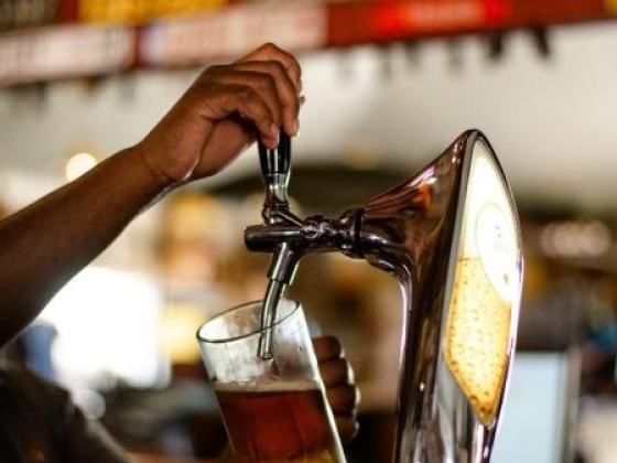 A bartender fills a glass with beer at a bar.