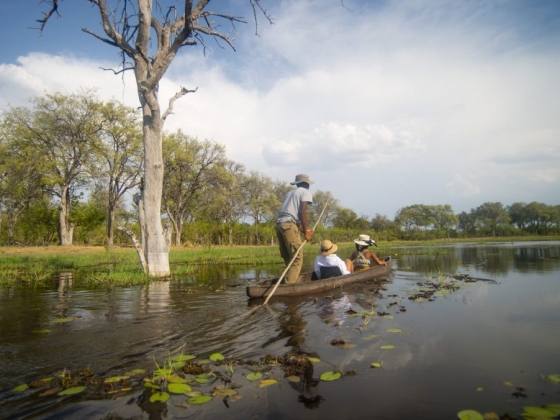 Khwai Expeditions Camp