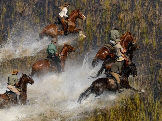 African Horseback Safaris